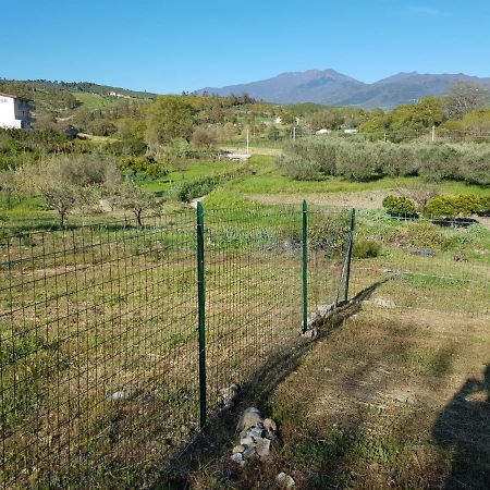 Villetta Nel Verde Ascea Bagian luar foto