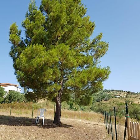 Villetta Nel Verde Ascea Bagian luar foto