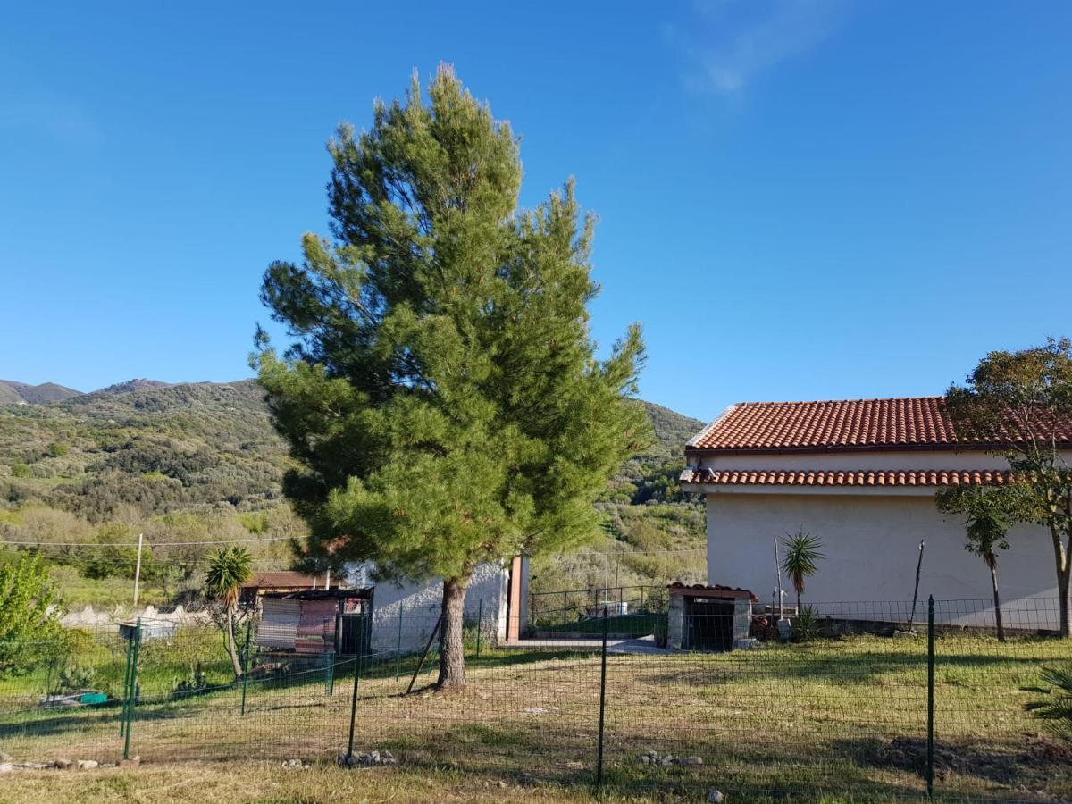 Villetta Nel Verde Ascea Bagian luar foto