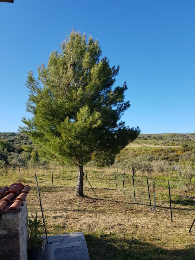 Villetta Nel Verde Ascea Bagian luar foto