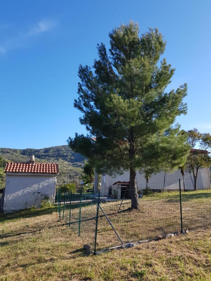 Villetta Nel Verde Ascea Bagian luar foto