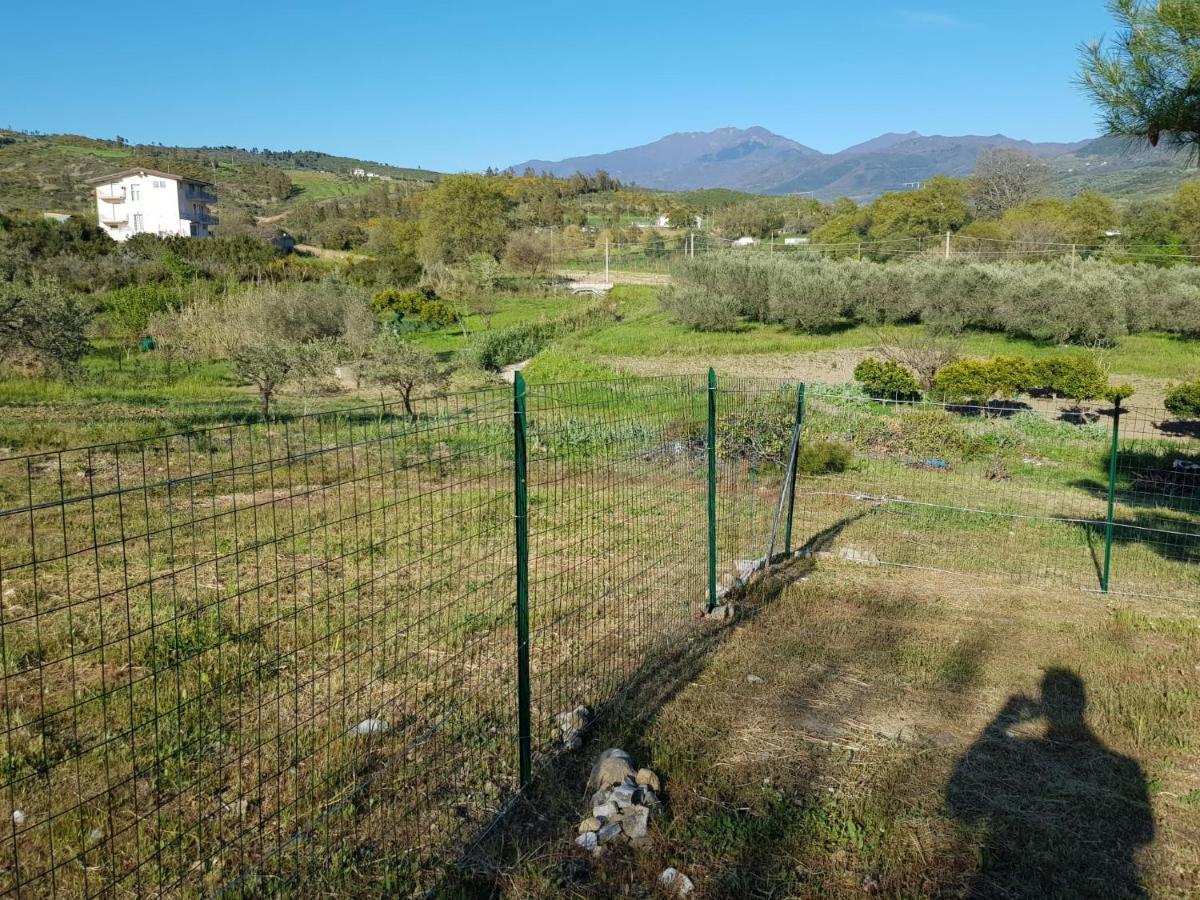 Villetta Nel Verde Ascea Bagian luar foto