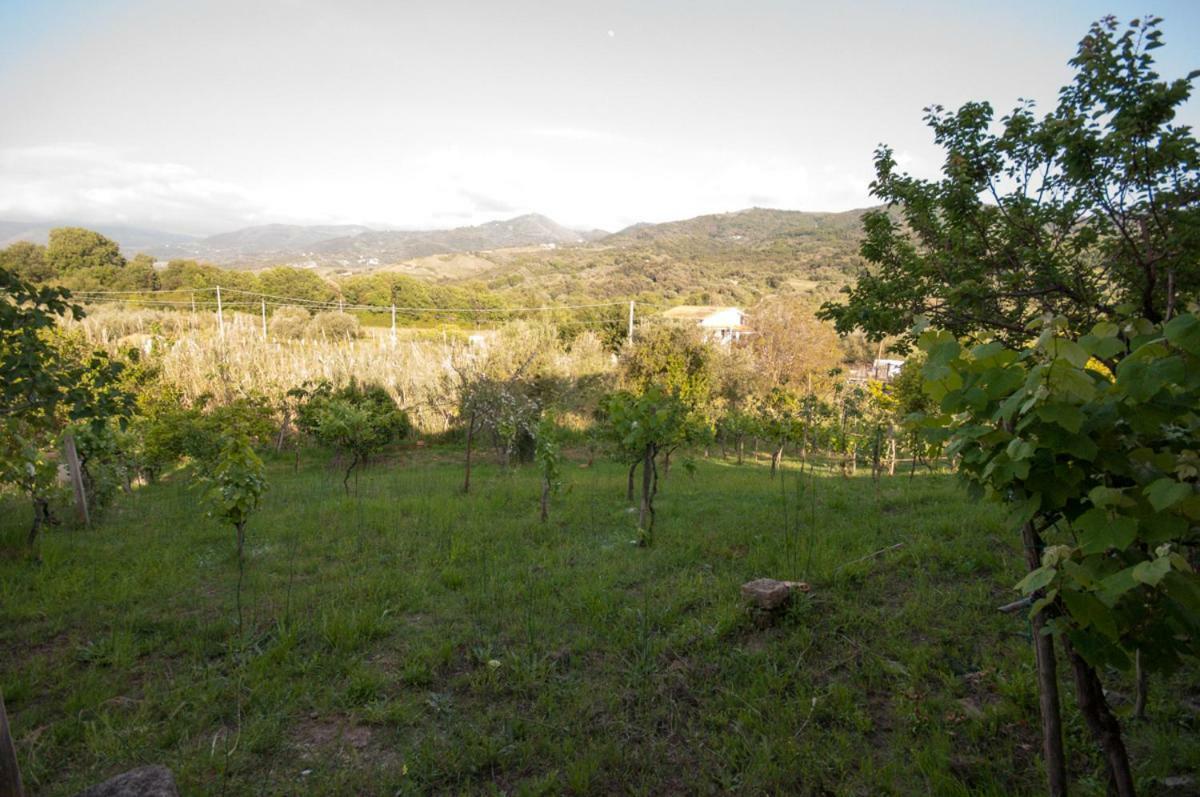 Villetta Nel Verde Ascea Bagian luar foto
